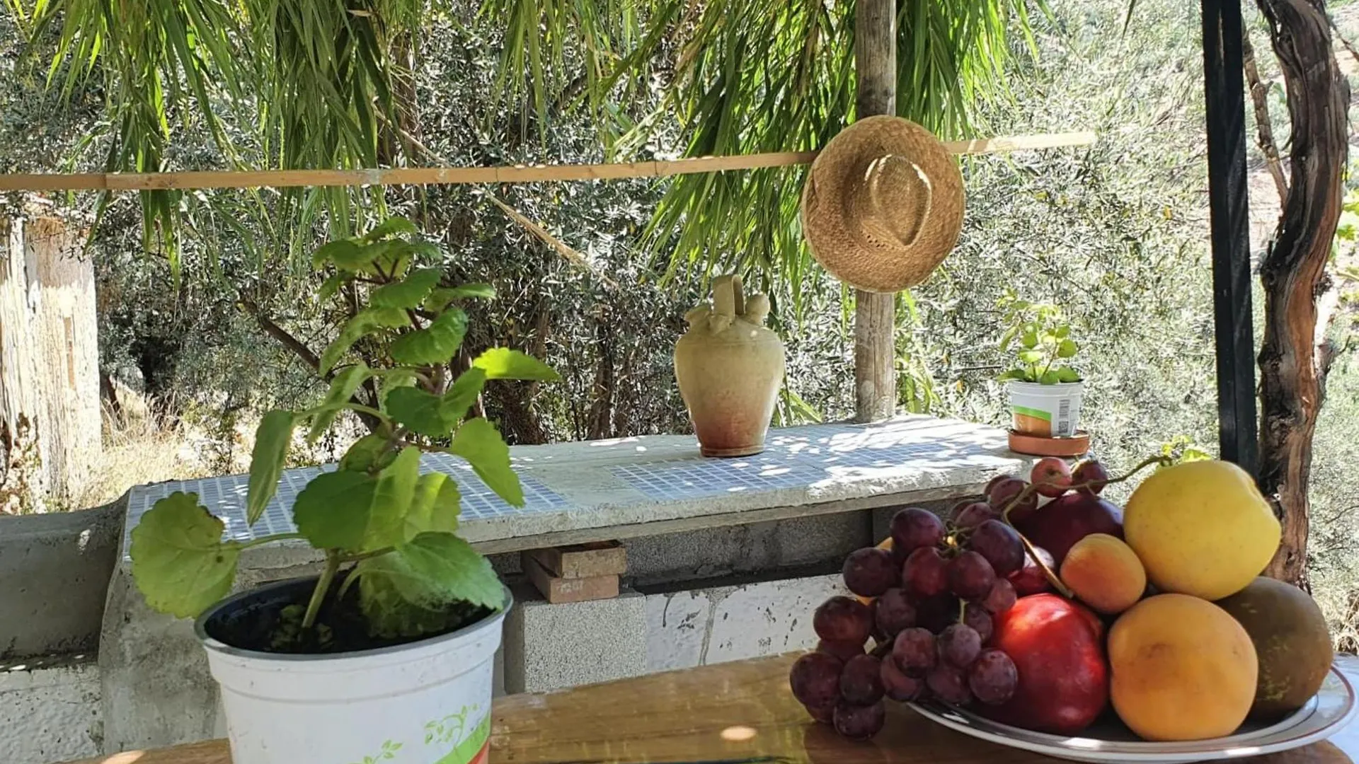 Casa Papi Villa Alcaucin 0*,